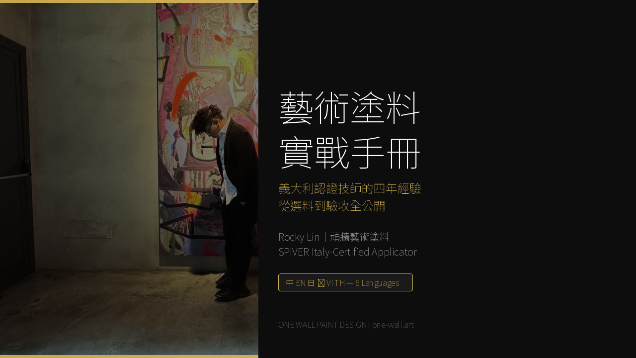 藝術塗料實戰手冊 封面